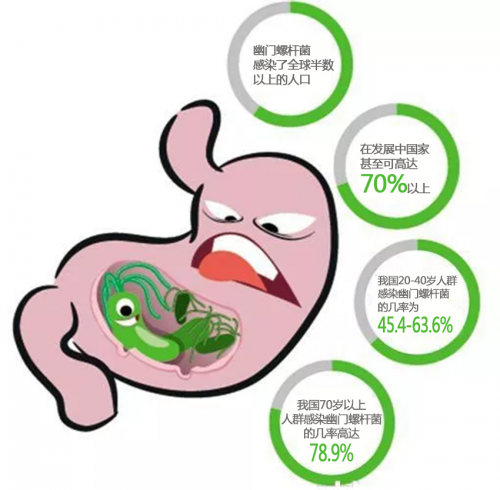 为什么幽门螺旋杆菌关注度这么高？
