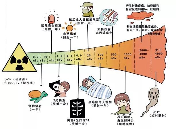 体检照一次CT的辐射，对我们身体的伤害有多大？