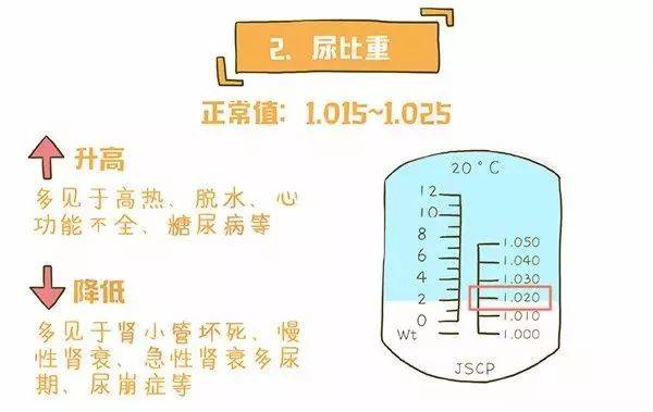 一图读懂尿常规化验单 3分钟学会 快收藏