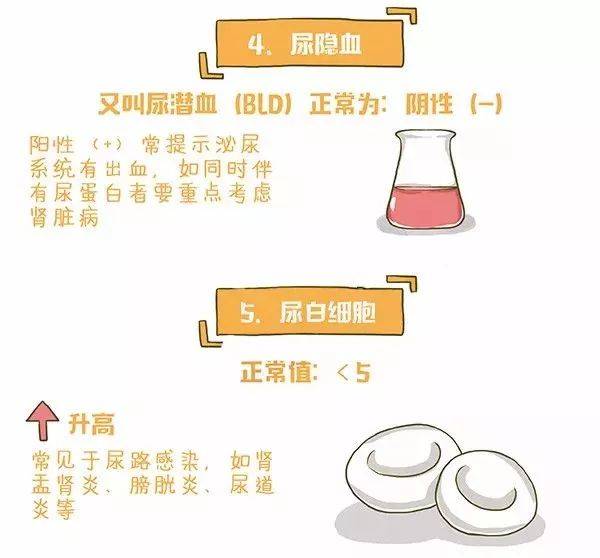 一图读懂尿常规化验单 3分钟学会 快收藏