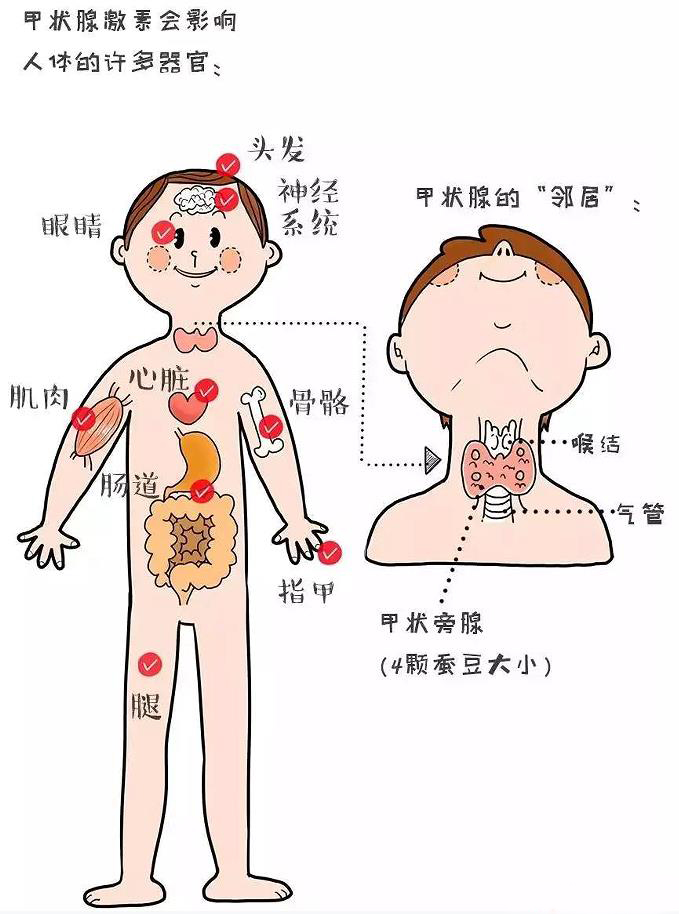 体检结果一头雾水？教你如何解读体检报告2.jpg