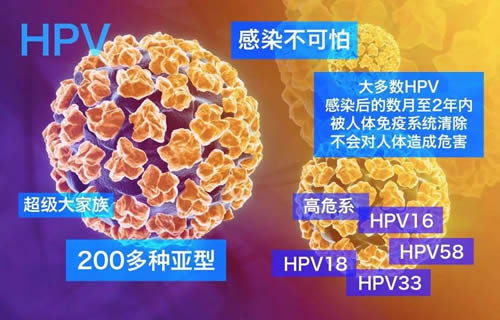 hpv检查是不是很尴尬 hpv检查过程及注意事项