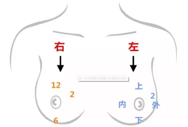 每个女性都要会看懂的乳腺超声报告3.png