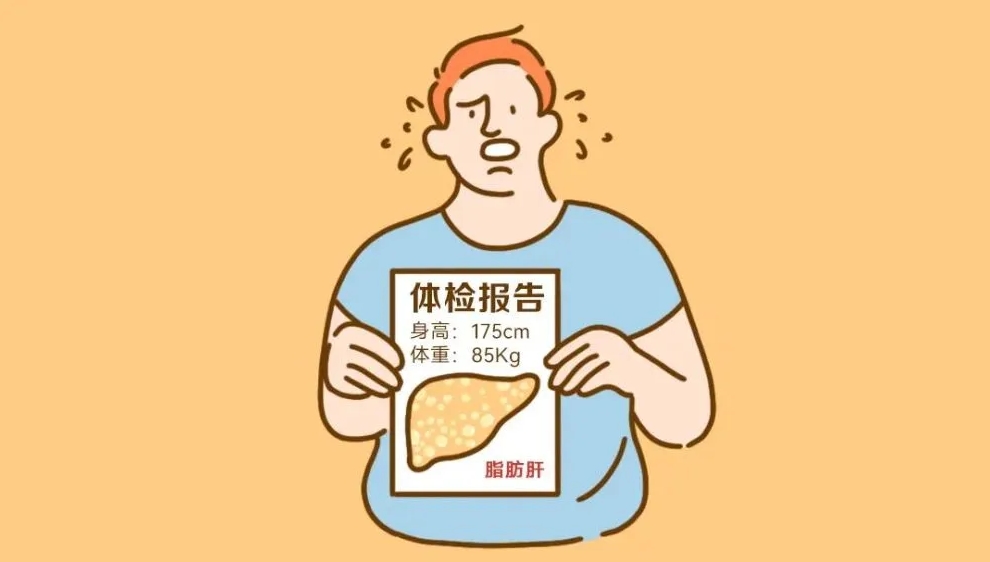 体检时查出脂肪肝，该怎么办？