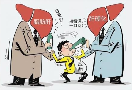 体检时查出脂肪肝，该怎么办？